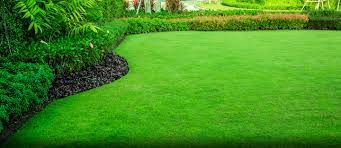 lawn-maintenance-MTA0